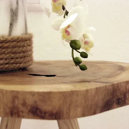 To Spiti - Pelion House Апартаменты Кала-Нера