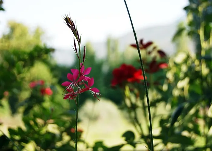 アパート To Spiti - Pelion House