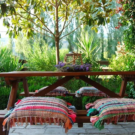 To Spiti - Pelion House * Kala Nera