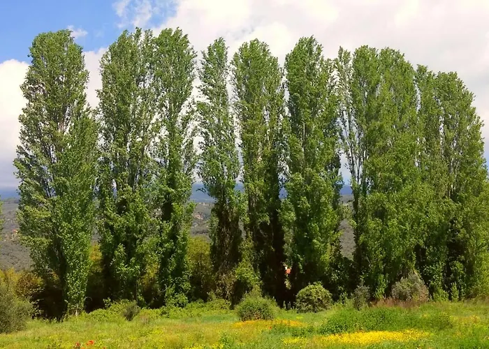 Apartment To Spiti - Pelion House